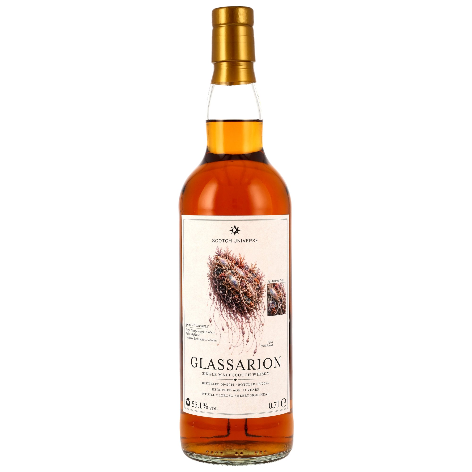 GLASSARION 11 Jahre 2014/2026 1st Fill Oloroso Sherry Scotch Universe 55,1% vol.