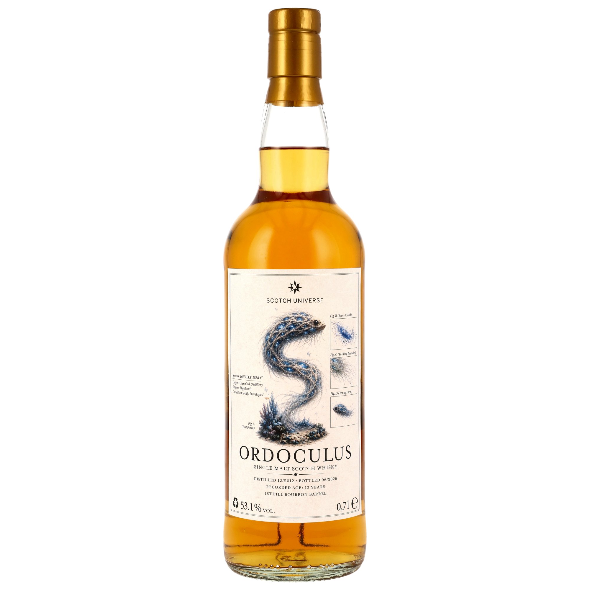 ORDOCULUS 13 Jahre 2012/2026 1st Fill Bourbon Barrel Scotch Universe 53,1% vol.